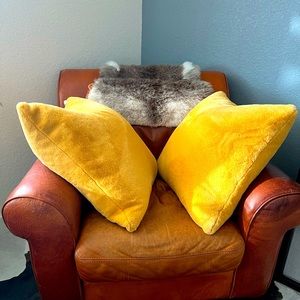 🦆Rachel Zoe set of 2 duck feather pillows 24x24